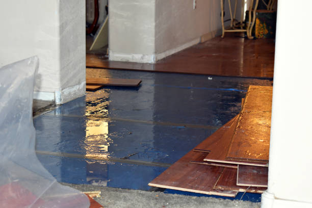 Professional Basement Water Removal technician working in Lakewood, NY